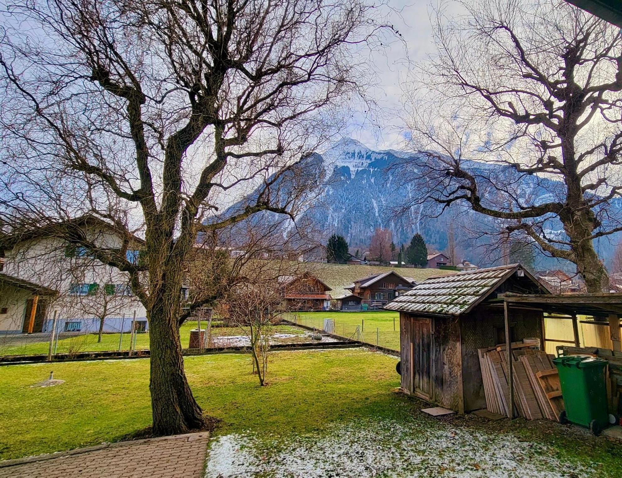 Mountain Wimmis